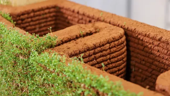 'Bioconstrução' construirá casas com terra florida impressa em 3D