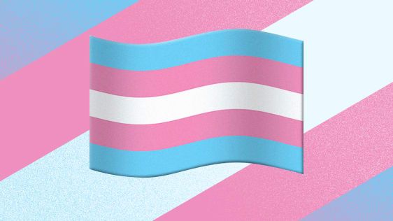 Os emojis estão cada vez mais inclusivos. Então, por que não há bandeira do orgulho trans?