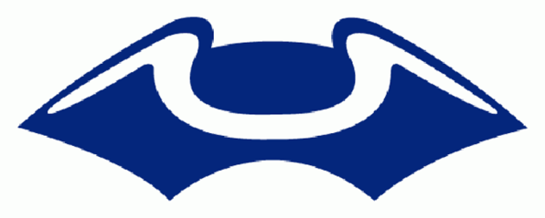 Super Logo Bowl: Istoria designului Patriots și Seahawks