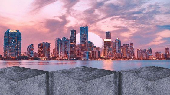 Un zid maritim de 20 de picioare nu va salva Miami, dar aceste inovații inspirate de natură ar putea s-o facă