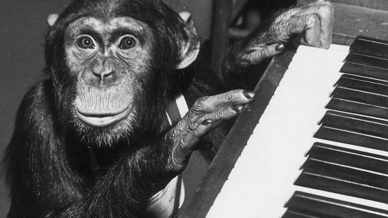Małpy kochają muzykę tak samo jak my
