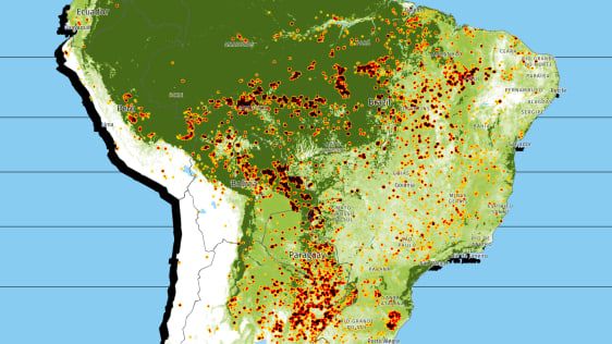شاهد خريطة في الوقت الفعلي لجميع الحرائق المشتعلة في منطقة الأمازون