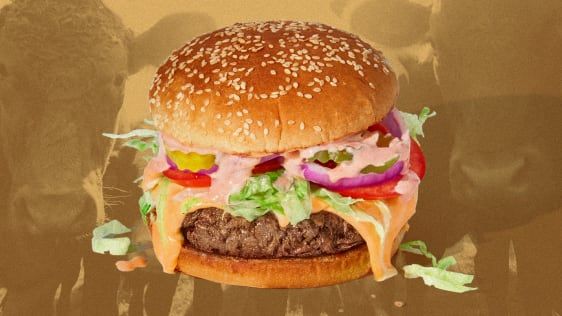 Veja como a pegada do Impossible Burger à base de plantas se compara à carne bovina
