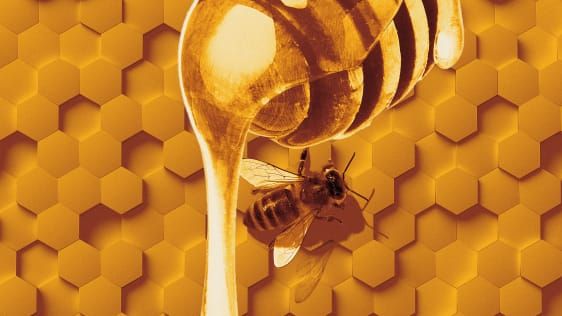 Comer mel é mais complicado do que você imagina