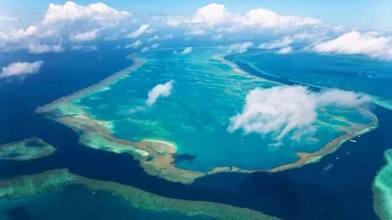 A Nagy-korallzátony rekordkorallborítású. Lehet, hogy nem számít