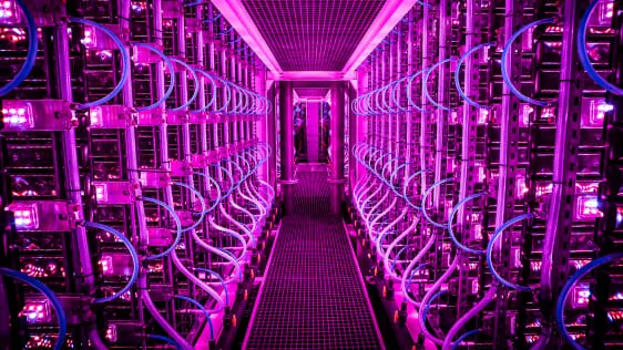 În interiorul acestei ferme verticale, alge neutre din punct de vedere carbon cresc sub lumini roz strălucitoare