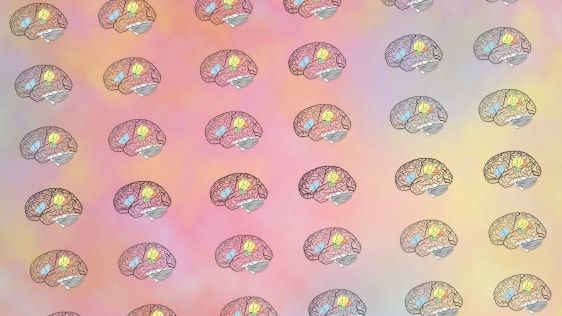 Seis Hacks cerebrais para aprender algo mais rápido