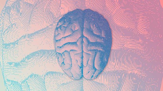 4 maneiras de treinar seu cérebro para ter a mente mais aberta