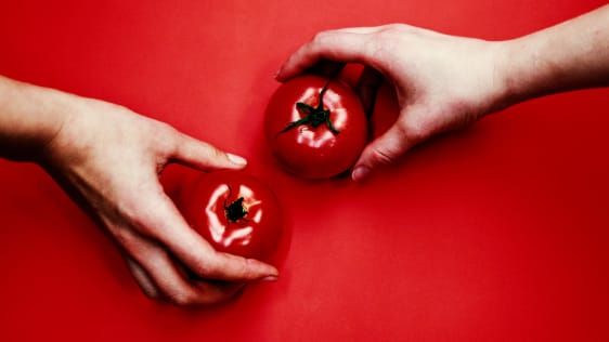 Skal du sette tomater i kjøleskap? Forskere og en ‘elektronisk tunge’ gir et overraskende svar