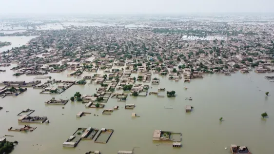 Sådan hjælper du befolkningen i Pakistan, der er ramt af 'apokalyptiske' oversvømmelser: 5 ting, du kan gøre nu